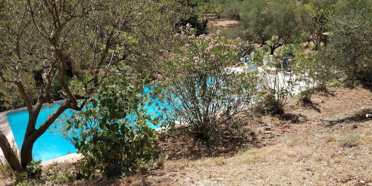 Villa Cigalons En Pleine Pinede Avec Piscine Chauffee De Mai A Septembre Auriol Exterior photo
